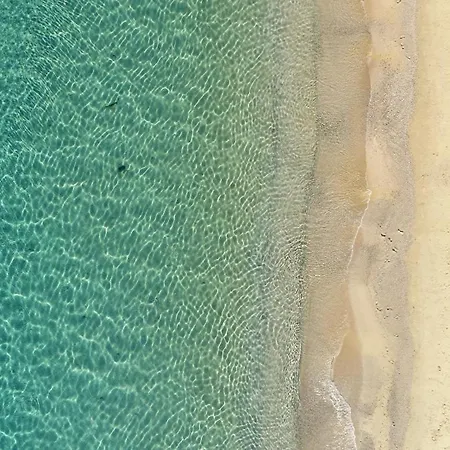 Resort Myconian Collection - Preferred &