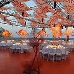 Myconian Collection - Preferred &