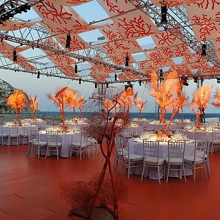 Myconian Collection - Preferred &