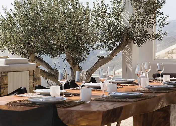 米克尼安别墅 - 首选酒店及度假村 Elia (Mykonos)