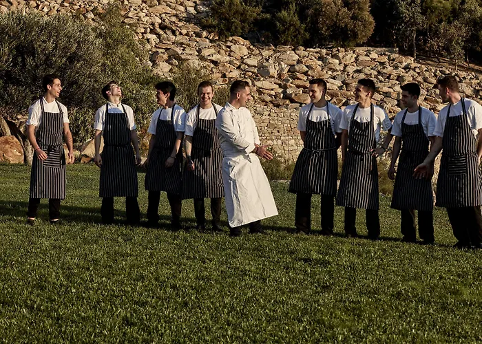 米克尼安别墅 - 首选酒店及度假村 Elia (Mykonos)