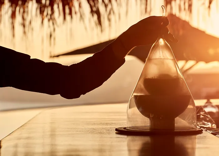 米克尼安别墅 - 首选酒店及度假村 Elia (Mykonos)