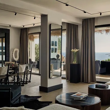 酒店 米克尼安别墅 - 首选酒店及度假村 Elia (Mykonos)